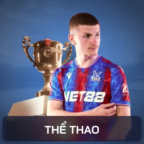 sản phẩm betvisa